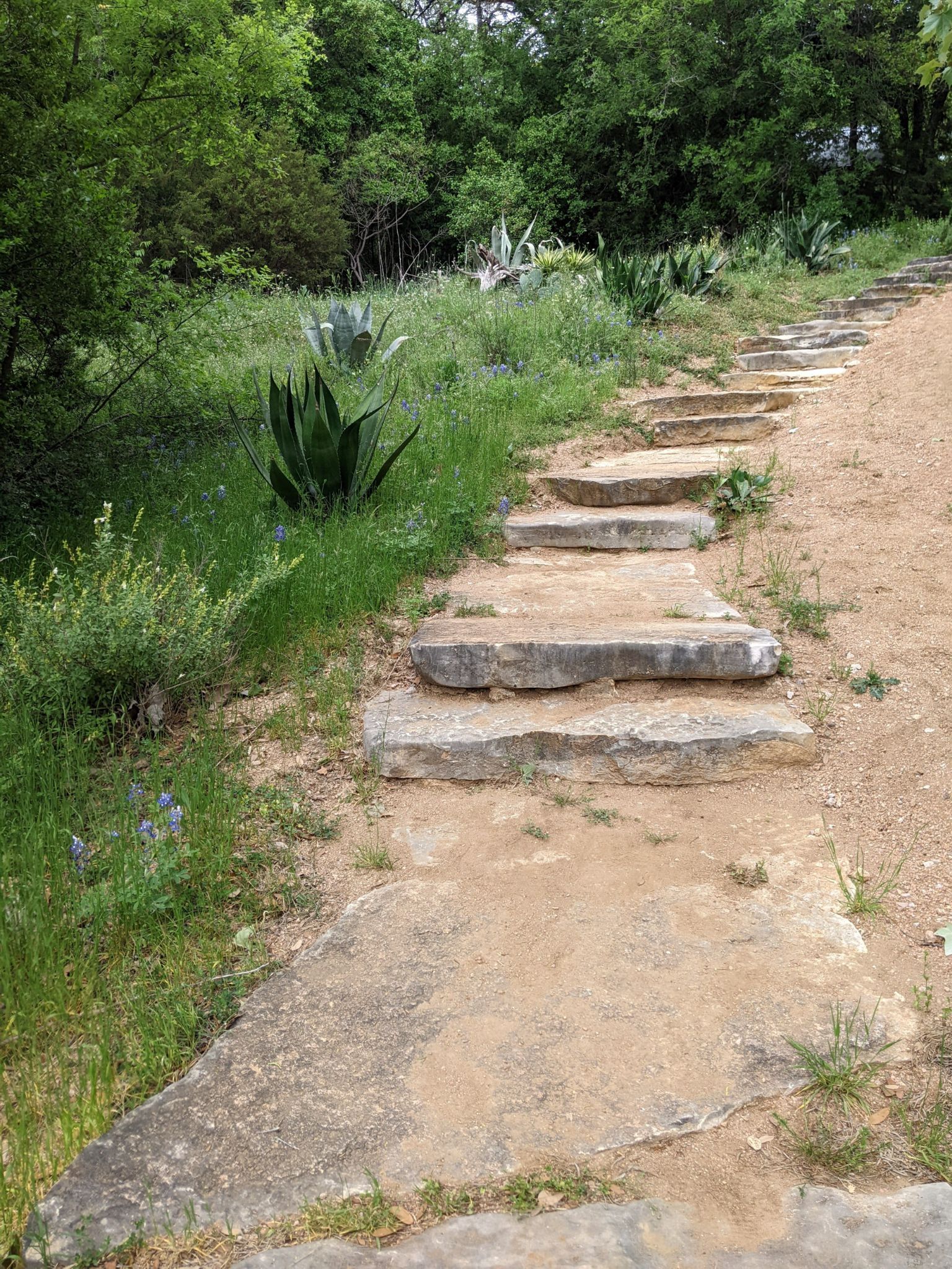 Balcones Springes TX 155